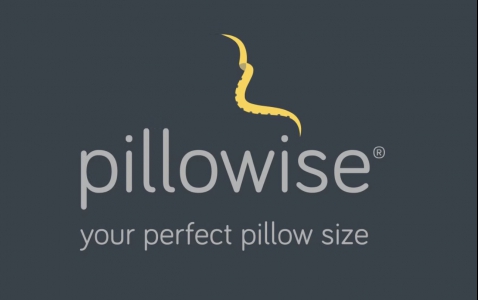 Pillowise Pillows